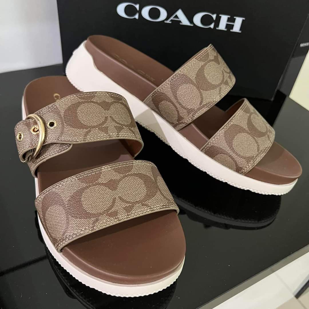 Brand new Authentic Coach gwen signature sandals, Women's Fashion,  Footwear, Sandals on Carousell