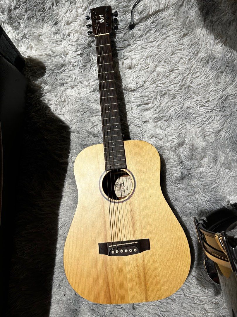 Cort earth mini shop f adirondack