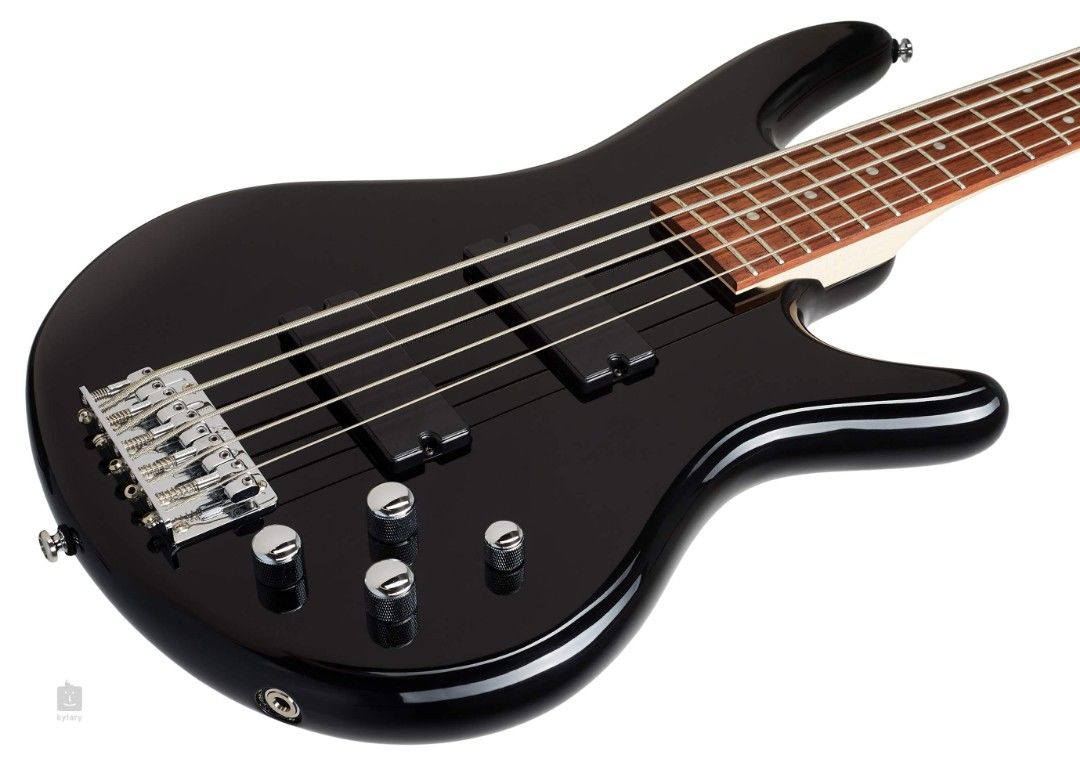 Ibanez 205 store