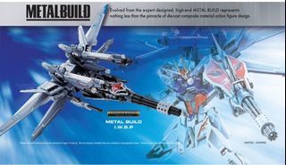 (In Stock) Metal Build MB Gundam IWSP Striker pack (I.W.S.P) for seed series