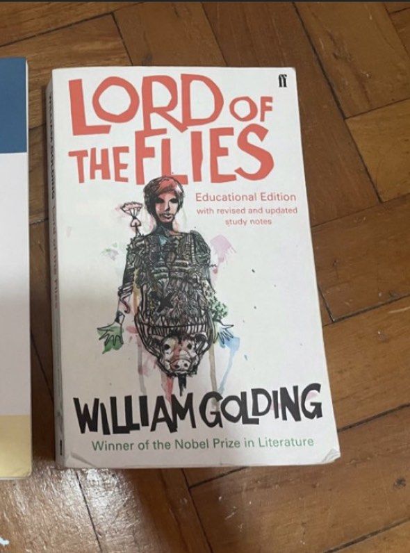 Language Art Lord of the flies, Hobbies & Toys, Books & Magazines