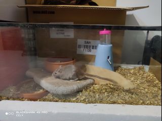 (Category: ) located in . Submitted by danzhu818 (Listing ID 1199213167, Image 1). Description: .