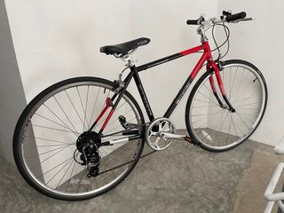 Xds discount elwood cruiser