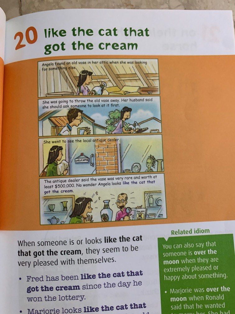 Scholastic 101 Idioms Special Edition, Hobbies & Toys, Books ...