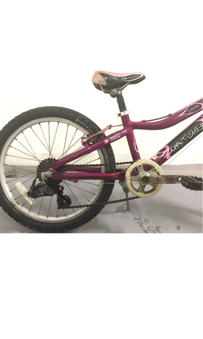 Gary fisher 2025 cosmo 20 inch