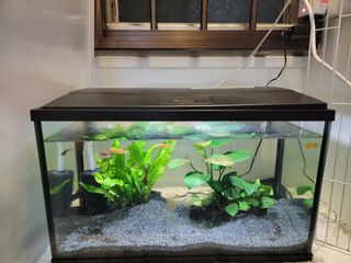 (Category: ) located in . Submitted by minling91 (Listing ID 1199420016, Image 1). Description: .