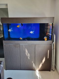 (Category: ) located in . Submitted by ja777ck (Listing ID 1199309674, Image 1). Description: .
