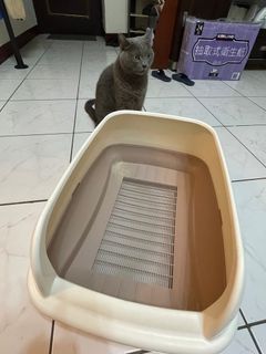 雙層貓砂盆