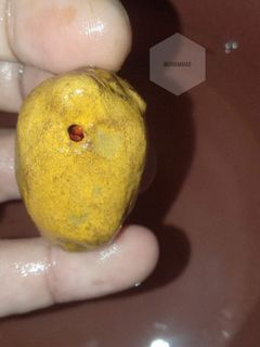 (Category: ) located in . Submitted by Muhammad786 (Listing ID 1199305853, Image 1). Description: .