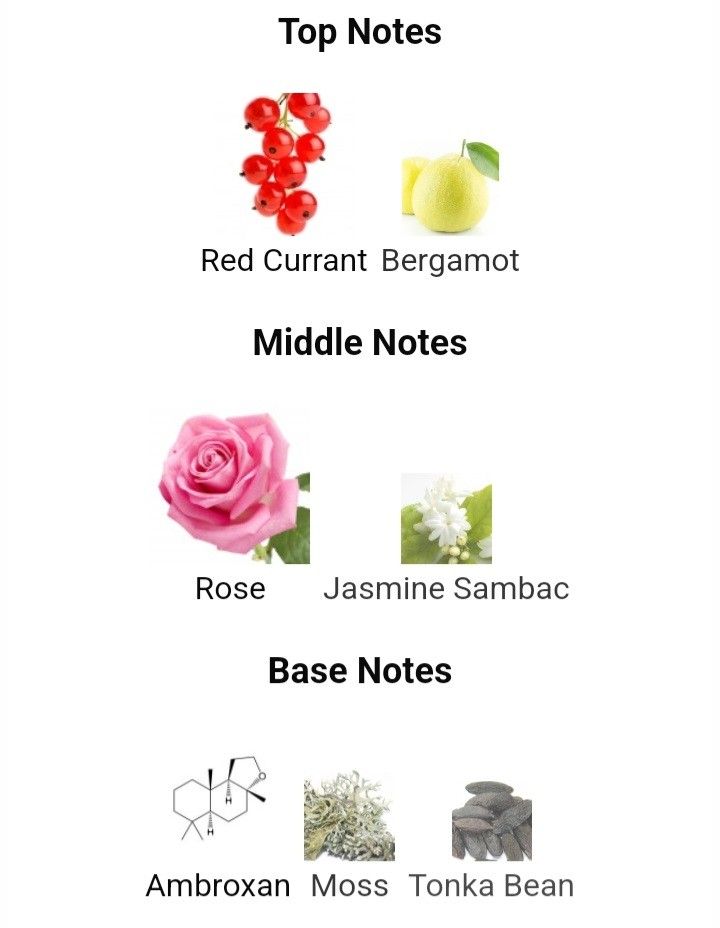 perfume wild rose coach