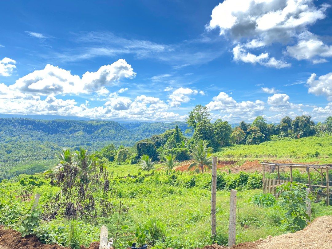 High Ridge Viewpoint Cdo Ridge lot for sale! 15mins from Uptown CDO, Property, For Sale, Lot on ...