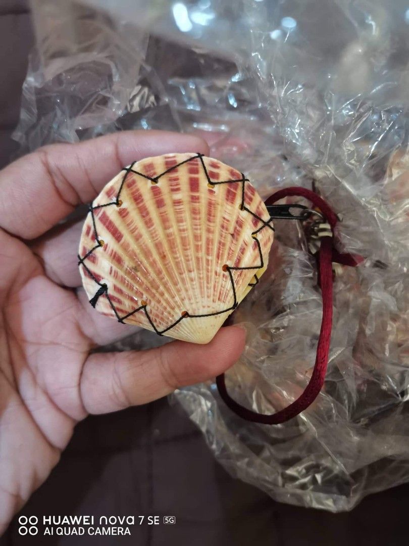 Real Shell Coin Purse with Metal Clip - Sourceress