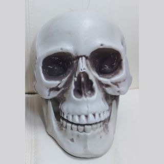 （分類：）位於 。 由 Yu_chan09 提交（商品編號 1193757697，圖片 1）。簡介： 。