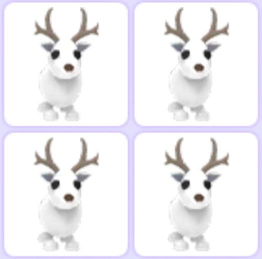 arctic reindeer