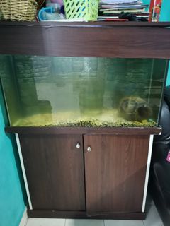 (Category: ) located in . Submitted by reformasi (Listing ID 1199556698, Image 1). Description: .