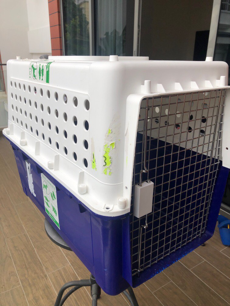 Large 72cm Dog Crate cage air travel approved training, Pet Supplies