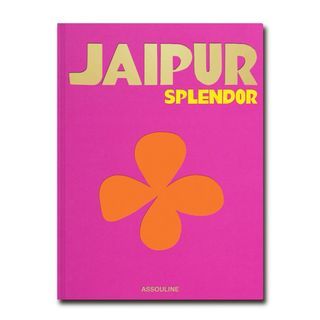 [FREE SHIP] Jaipur Splendor Coffee Table Book