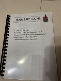 H2 Economics Notes