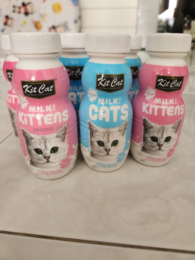 Kit cat cat milk kitten milk, Pet Supplies, Pet Food on Carousell