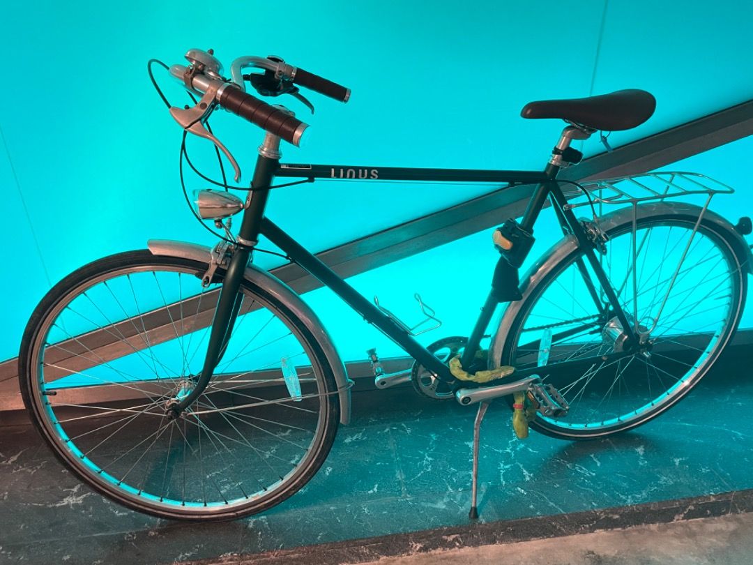 linus-adult-bike-men-citybike-great-condition-sports-equipment