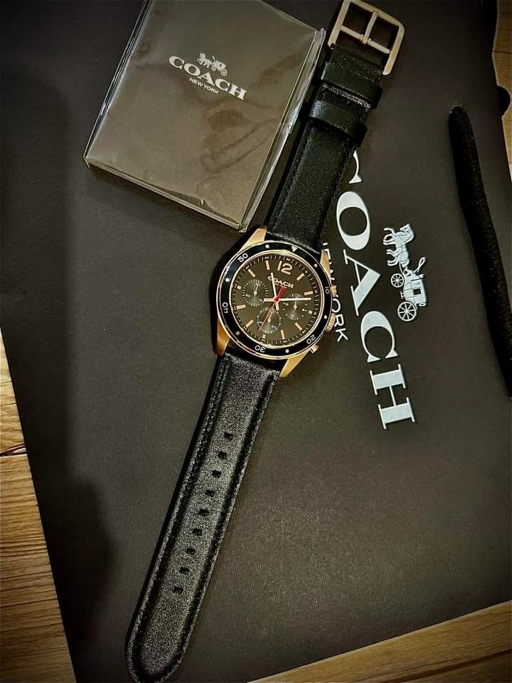 Coach hotsell sullivan watch