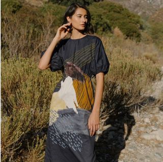 Our Second Nature Valley Balloon Sleeve Dress (Size M)