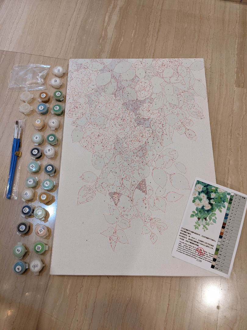 Floral PaintbytheNumbers Kit with Canvas, Brushes, Acrylic Paints