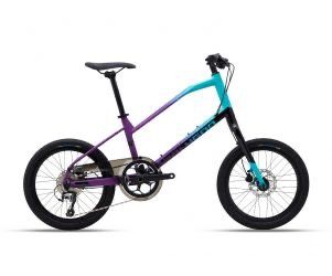 Polygon Zeta 2 Mino Velo