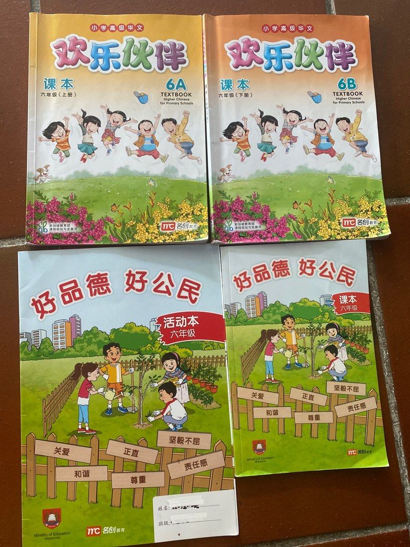 Primary 6 Textbooks, Hobbies & Toys, Books & Magazines, Textbooks on ...