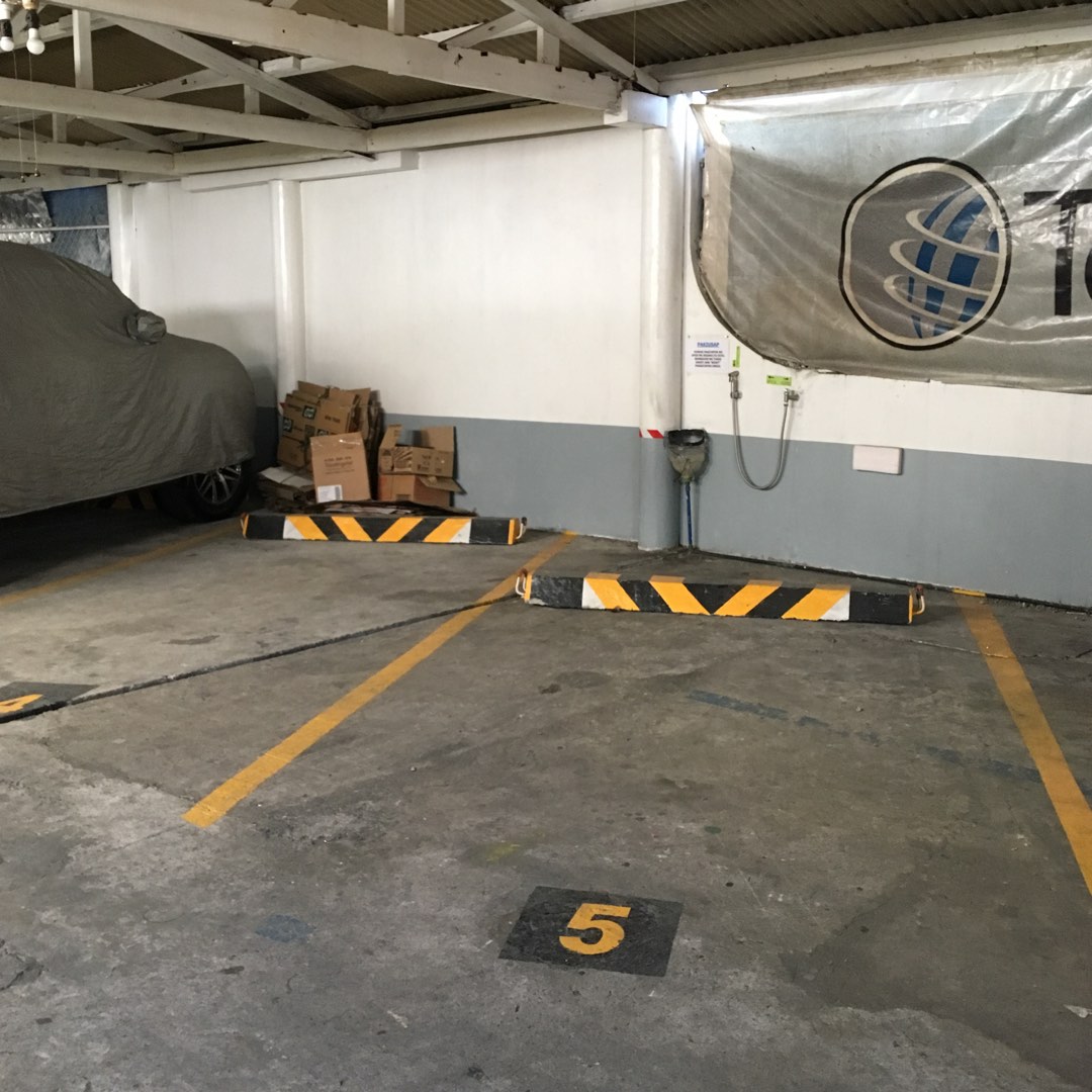 Roofed and Gated Parking Lot for Rent in Palatiw, Pasig City, Property