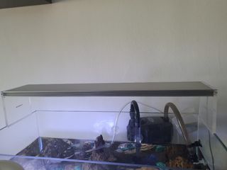 (Category: ) located in . Submitted by Lafti (Listing ID 1199578668, Image 1). Description: .