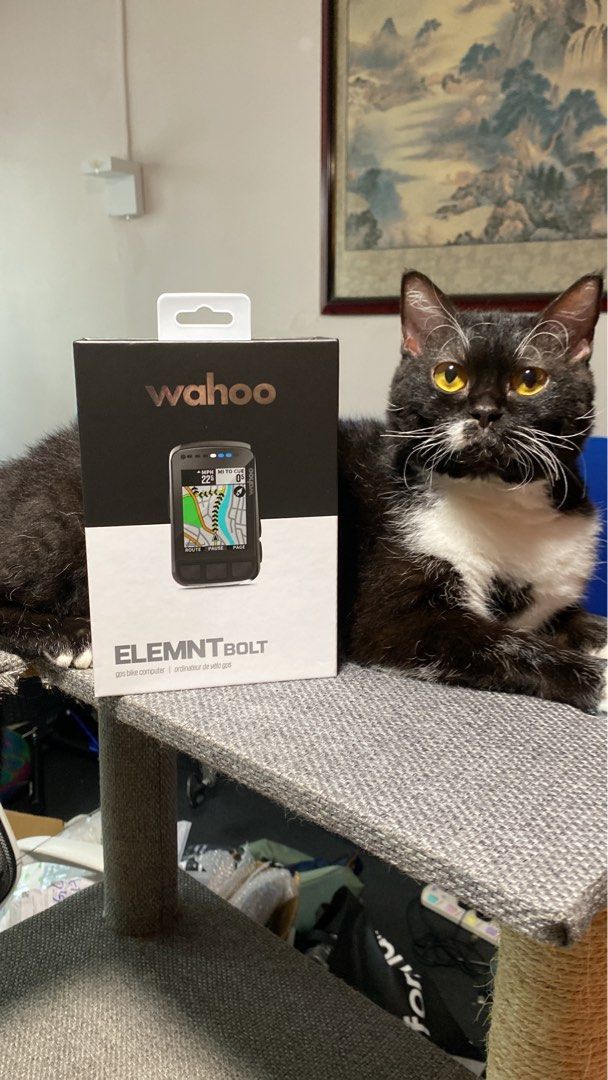 wahoo elemnt bolt bike profiles