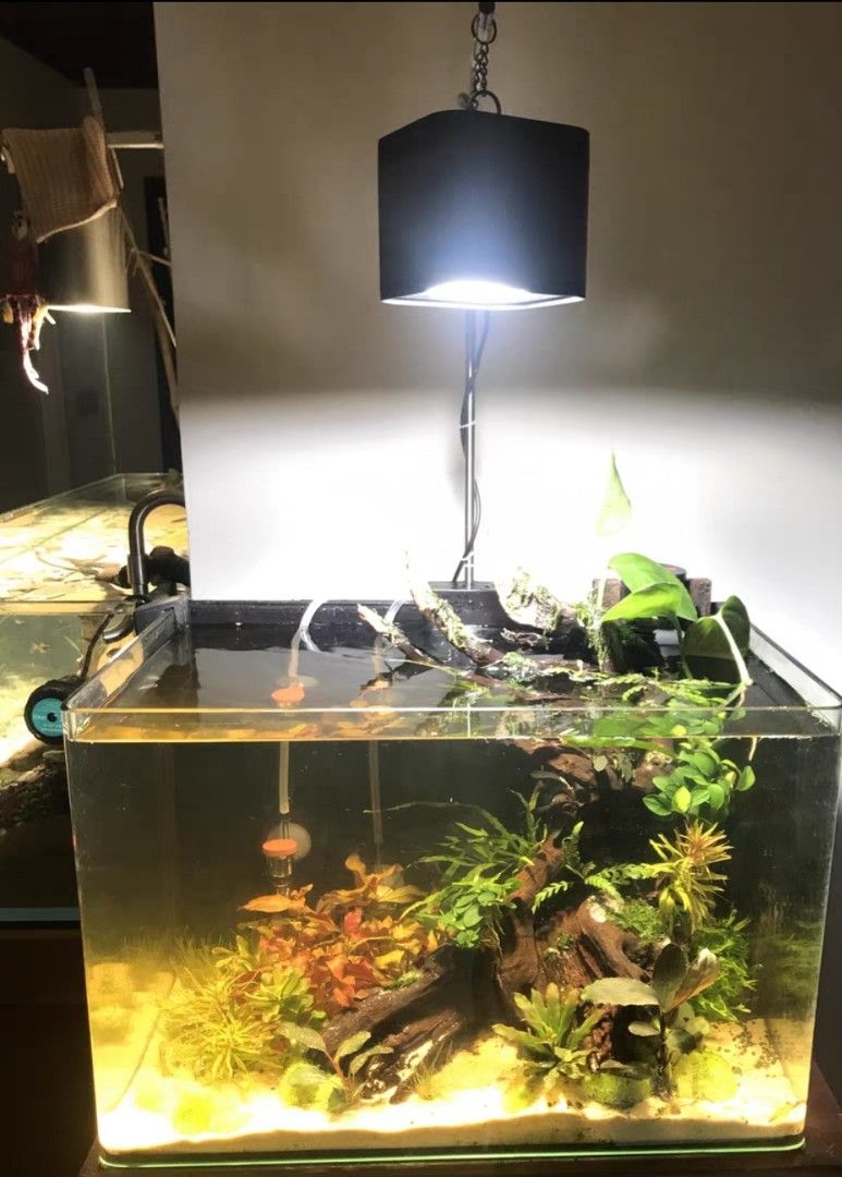 fluval dimmer