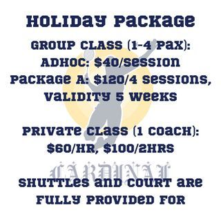 Badminton Classes/Lessons/Coaching 🏸 (Adult/Teen/Kids)