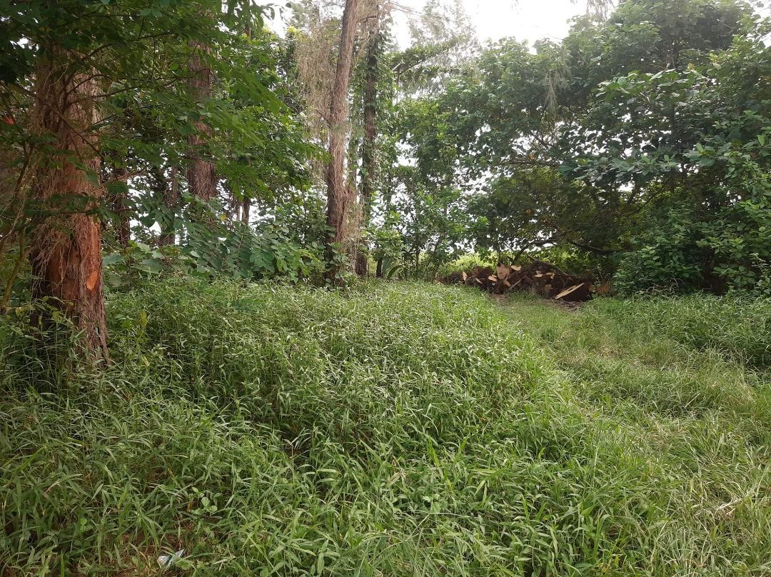 Beachfront Lot For Sale Dinahican, Infanta Quezon, Property, For Sale