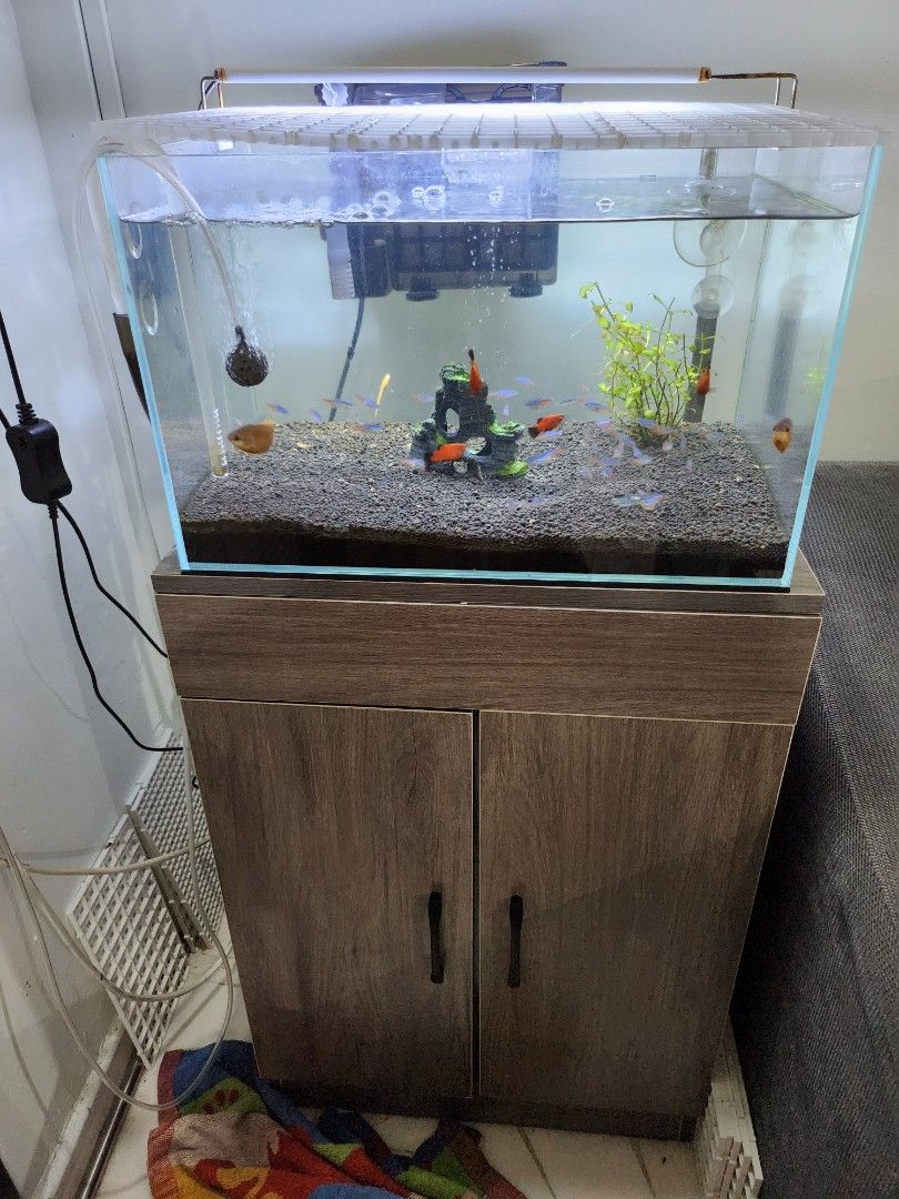Fish Tank With Cabinet, Pet Supplies, Homes & Other Pet Accessories On  Carousell