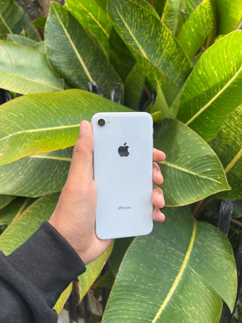 Iphone xl only clearance