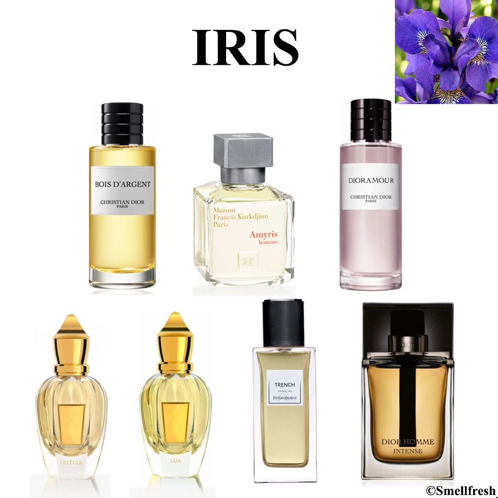 Dioramour sample hot sale