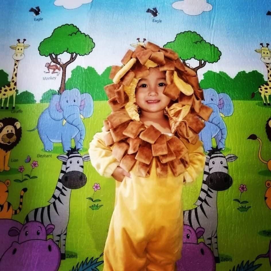 Lion costume for kids, Babies & Kids, Babies & Kids Fashion on Carousell