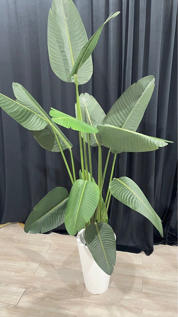 POKOK hiasan XXL besar dengan pasu, Furniture & Home Living, Home Decor