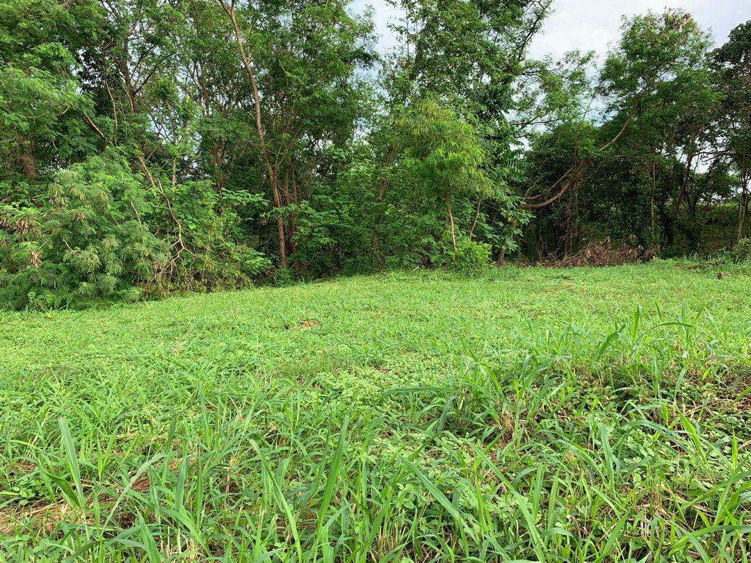 RUSH: Ayala Greenfield Estates - Lot only (Category: Lot) located in Manila. Submitted by jje01 (Listing ID 1199701888, Image 2). Description: For sale: Ayala Greenfield Estates Lot. Single loaded with a SW orientation. Phase 6B, Block 1, Lot 2 676 sqm .