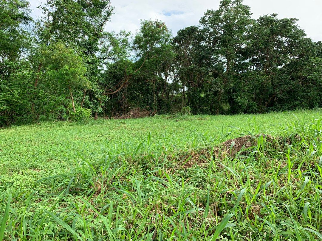 RUSH: Ayala Greenfield Estates - Lot only (Category: Lot) located in Manila. Submitted by jje01 (Listing ID 1199701888, Image 3). Description: For sale: Ayala Greenfield Estates Lot. Single loaded with a SW orientation. Phase 6B, Block 1, Lot 2 676 sqm .