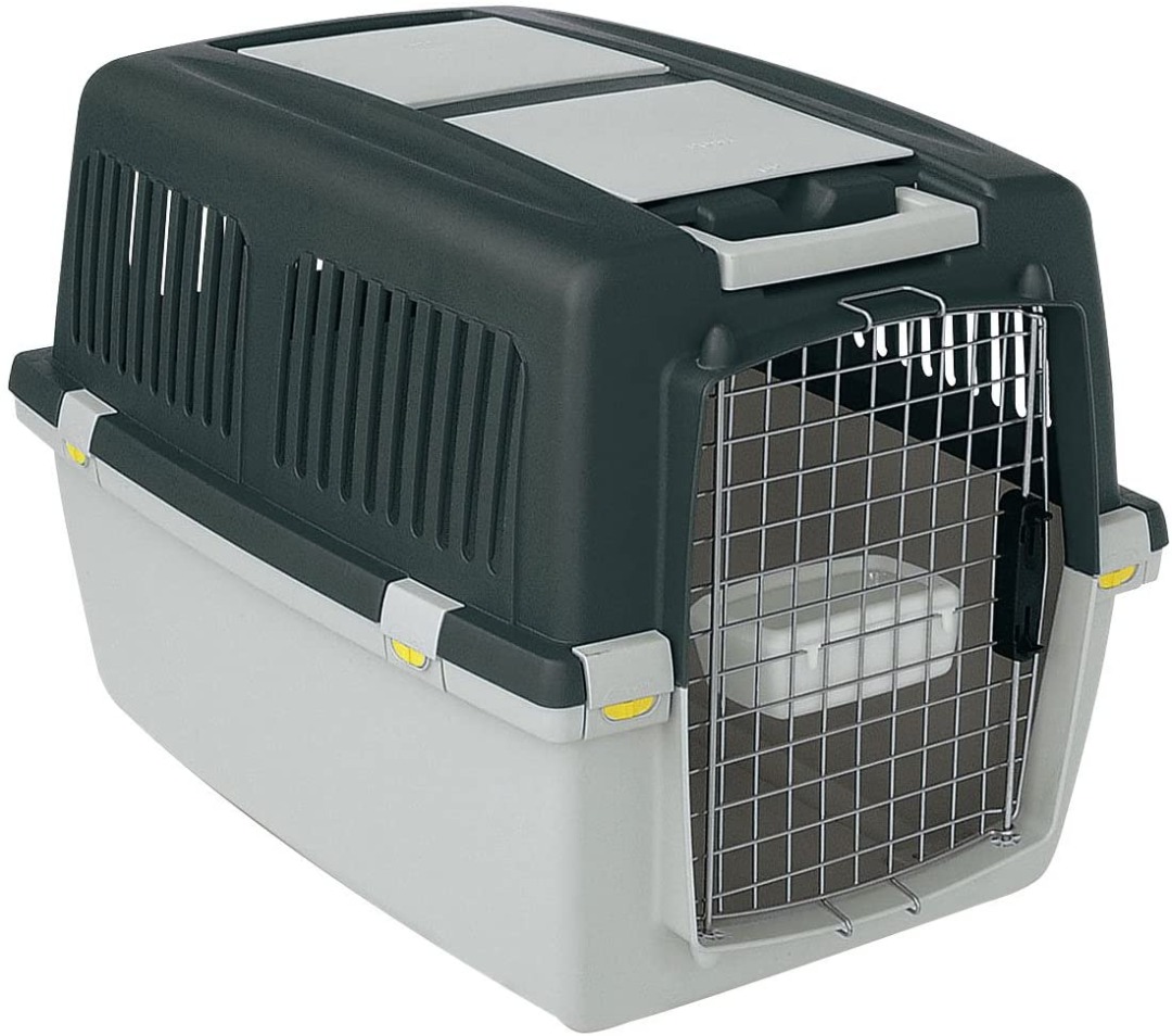 Stefanplast Gulliver 4 IATA Pet Carrier, Pet Supplies, Homes & Other