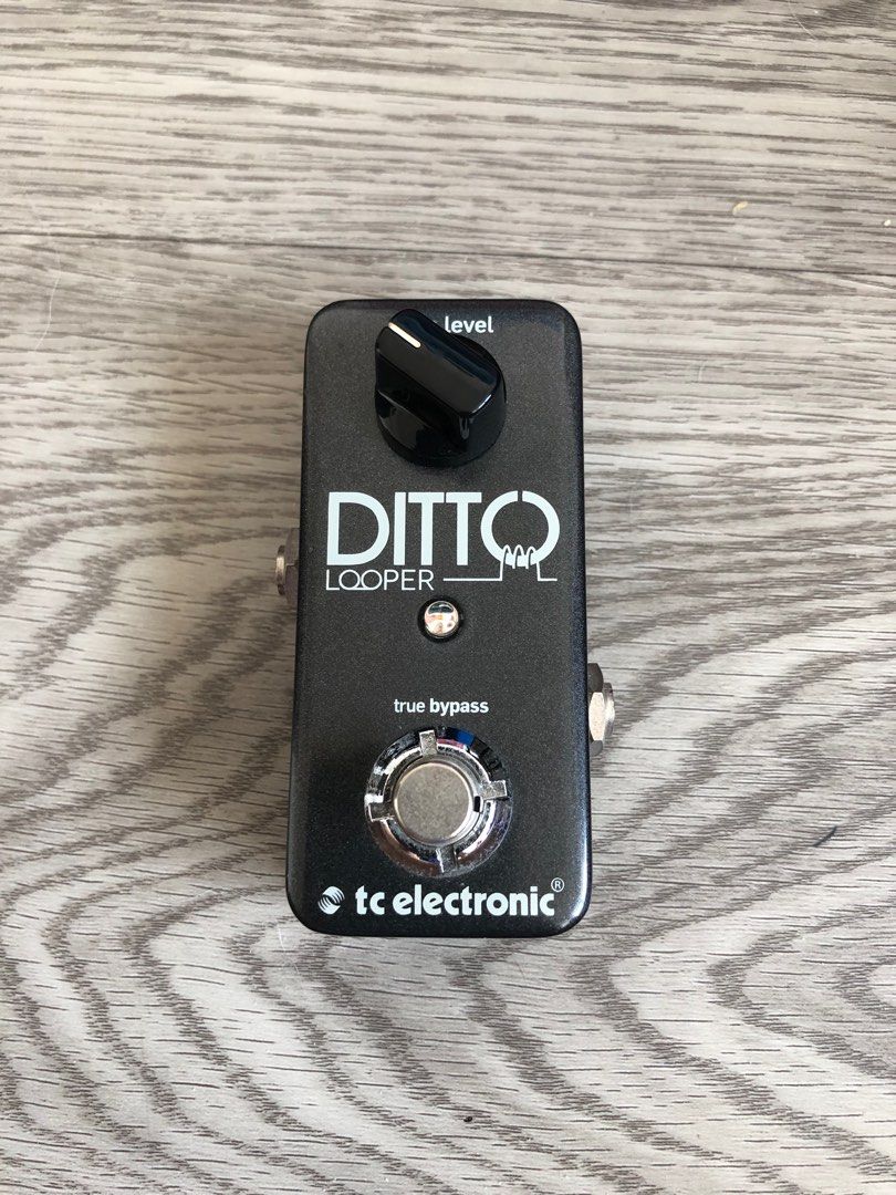 TC Electronic Ditto Looper Guitar Pedal, Hobbies & Toys, Music & Media, Music Accessories on