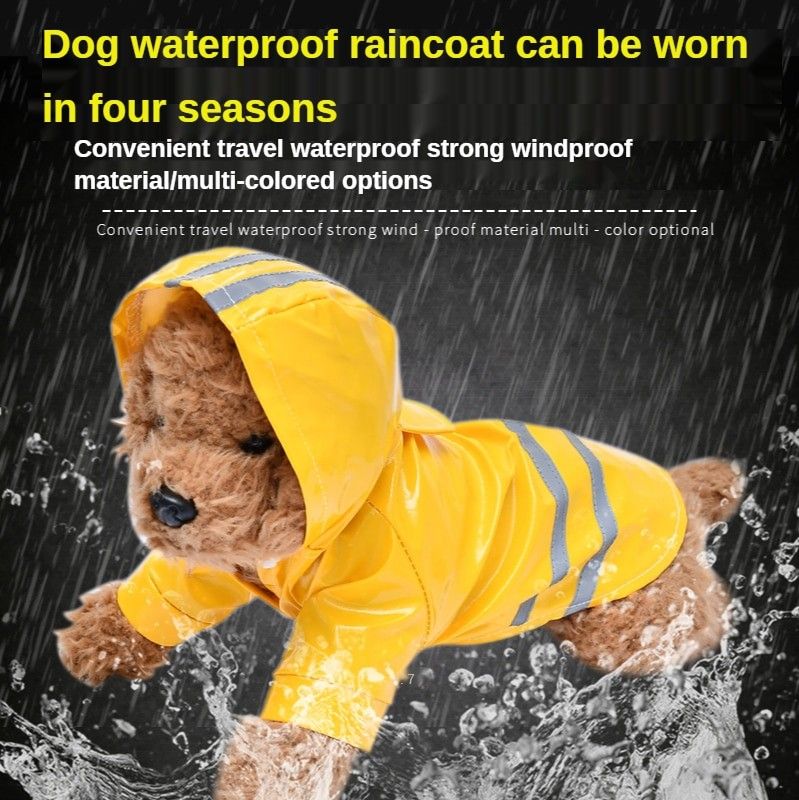 Chihuahua raincoat clearance