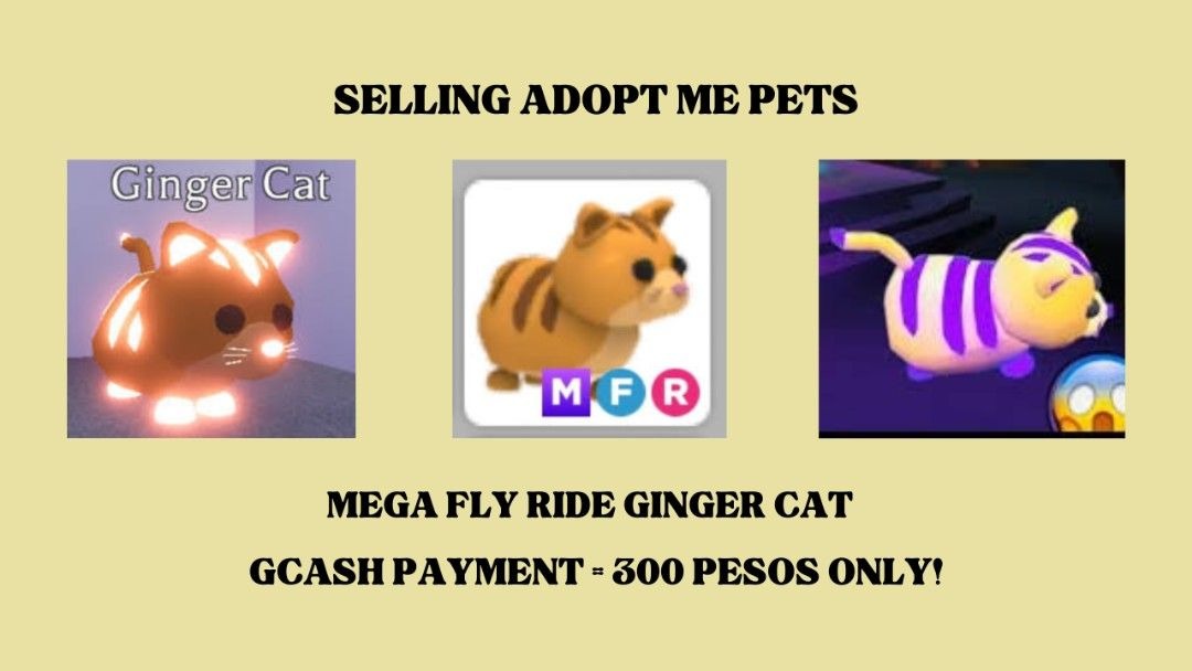 ADOPT ME MFR GINGER CAT, Video Gaming, Gaming Accessories, InGame Products on Carousell