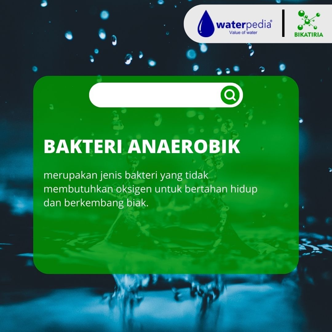 APA ITU ANAEROBIK?, Properti, Rental di Carousell