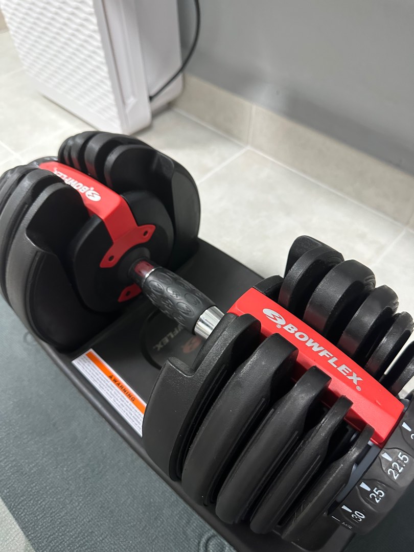 Bowflex BD552 Dumbbells