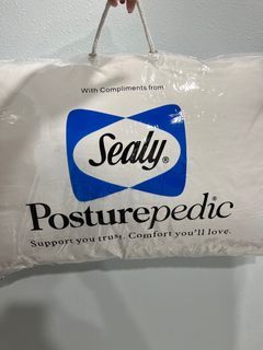 Brand new Sealy Pillow
