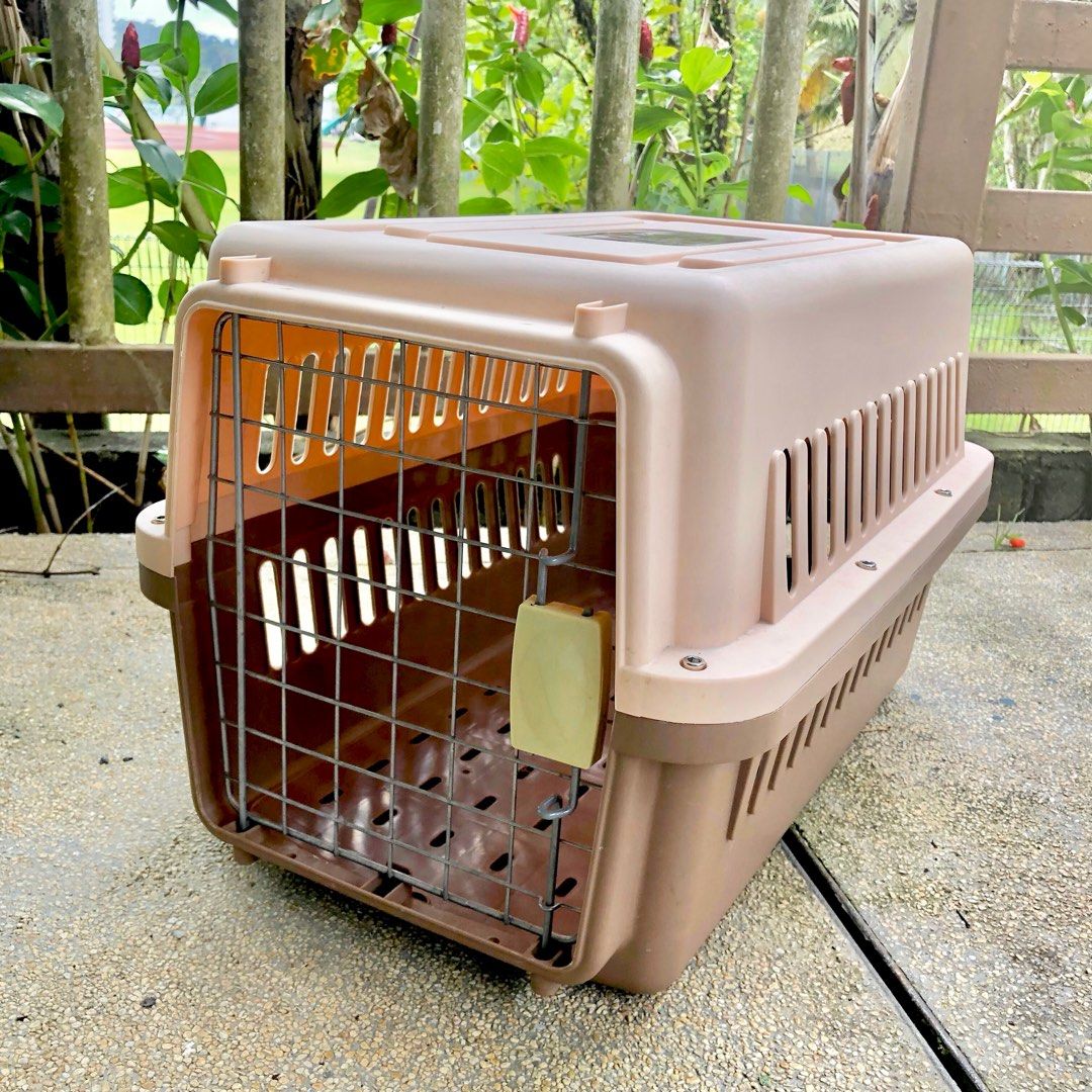 CAT COURIER CAGE, Pet Supplies, Homes & Other Pet Accessories on Carousell